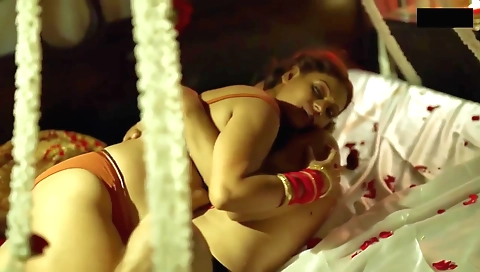 Bollywood actress in lingerie gets her pussy fucked