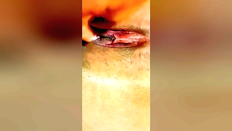 Solo female makes homemade porn (hd) in her bedroom